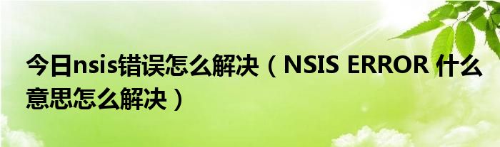 今日nsis错误怎么解决（NSIS ERROR 什么意思怎么解决）