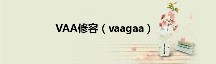 VAA修容（vaagaa）