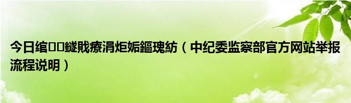 今日绾鐩戝療涓炬姤鏂瑰紡（中纪委监察部官方网站举报流程说明）