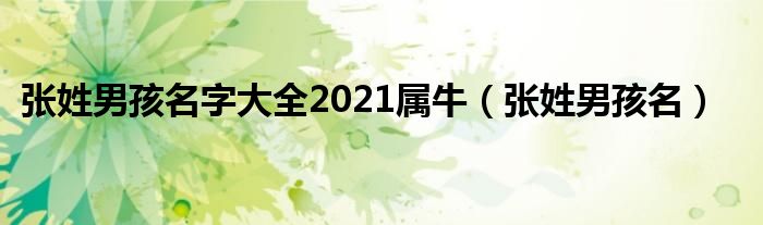 张姓男孩名字大全2021属牛（张姓男孩名）