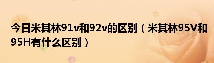 今日米其林91v和92v的区别（米其林95V和95H有什么区别）