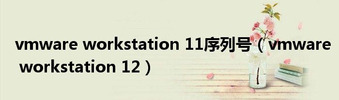 vmware workstation 11序列号（vmware workstation 12）