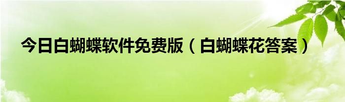 今日白蝴蝶软件免费版（白蝴蝶花答案）