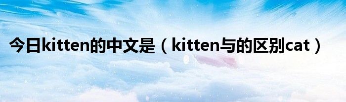 今日kitten的中文是（kitten与的区别cat）