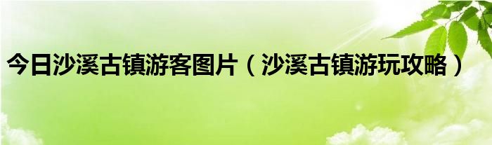 今日沙溪古镇游客图片（沙溪古镇游玩攻略）