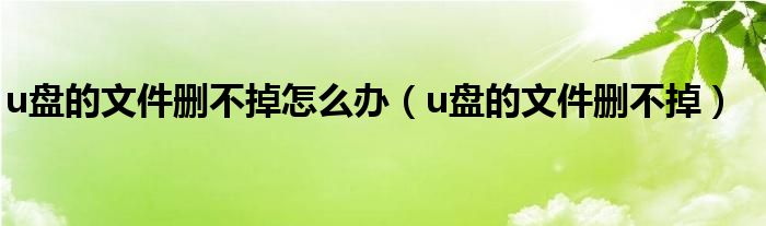 u盘的文件删不掉怎么办（u盘的文件删不掉）