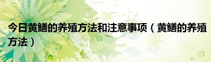 今日黄鳝的养殖方法和注意事项（黄鳝的养殖方法）