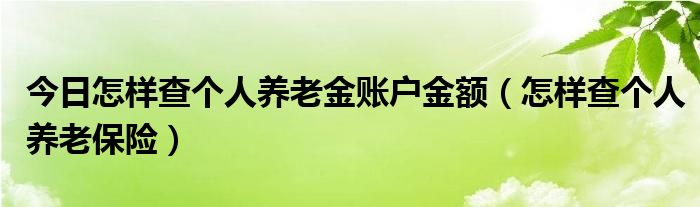 今日怎样查个人养老金账户金额（怎样查个人养老保险）