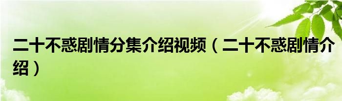 二十不惑剧情分集介绍视频（二十不惑剧情介绍）