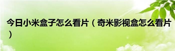 今日小米盒子怎么看片（奇米影视盒怎么看片）