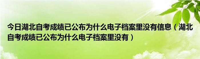 今日湖北自考成绩已公布为什么电子档案里没有信息（湖北自考成绩已公布为什么电子档案里没有）