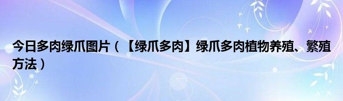 今日多肉绿爪图片（【绿爪多肉】绿爪多肉植物养殖、繁殖方法）