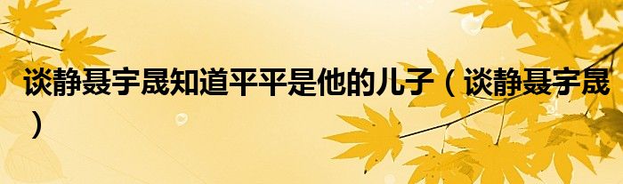 谈静聂宇晟知道平平是他的儿子（谈静聂宇晟）