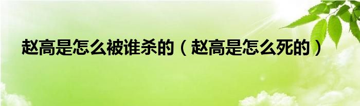 赵高是怎么被谁杀的（赵高是怎么死的）