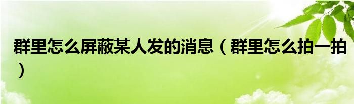 群里怎么屏蔽某人发的消息（群里怎么拍一拍）