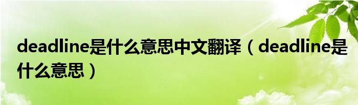 deadline是什么意思中文翻译（deadline是什么意思）