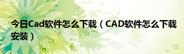 今日Cad软件怎么下载（CAD软件怎么下载安装）