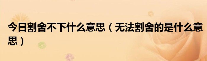 今日割舍不下什么意思（无法割舍的是什么意思）