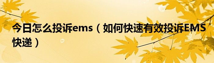 今日怎么投诉ems（如何快速有效投诉EMS快递）