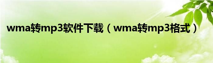 wma转mp3软件下载（wma转mp3格式）