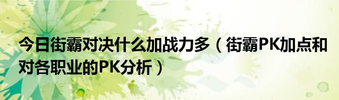 今日街霸对决什么加战力多（街霸PK加点和对各职业的PK分析）