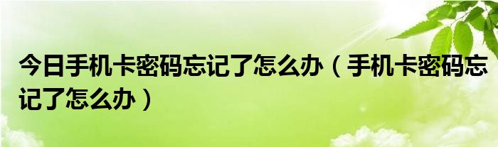 今日手机卡密码忘记了怎么办（手机卡密码忘记了怎么办）