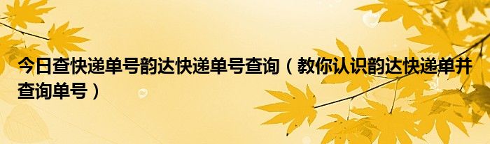 今日查快递单号韵达快递单号查询（教你认识韵达快递单并查询单号）