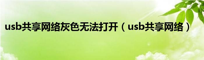 usb共享网络灰色无法打开（usb共享网络）