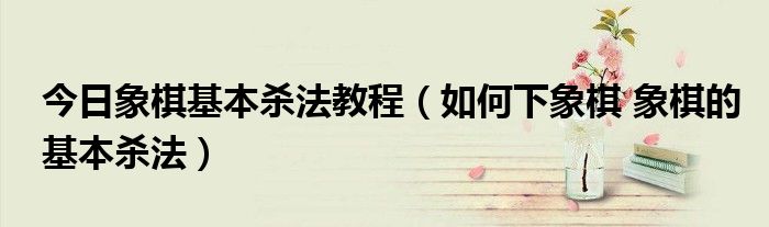 今日象棋基本杀法教程（如何下象棋 象棋的基本杀法）