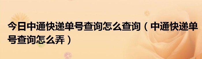 今日中通快递单号查询怎么查询（中通快递单号查询怎么弄）