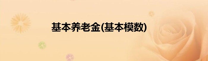 基本养老金(基本模数)