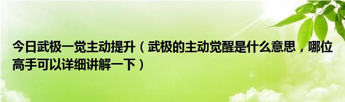 今日武极一觉主动提升（武极的主动觉醒是什么意思，哪位高手可以详细讲解一下）