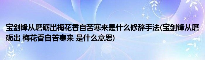 宝剑锋从磨砺出梅花香自苦寒来是什么修辞手法(宝剑锋从磨砺出 梅花香自苦寒来 是什么意思)