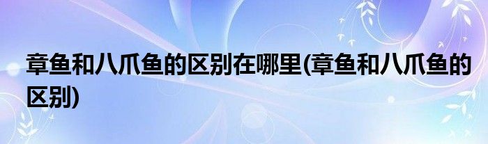 章鱼和八爪鱼的区别在哪里(章鱼和八爪鱼的区别)