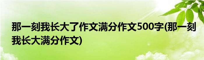 那一刻我长大了作文满分作文500字(那一刻我长大满分作文)