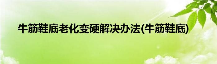 牛筋鞋底老化变硬解决办法(牛筋鞋底)