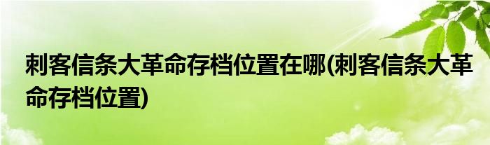 刺客信条大革命存档位置在哪(刺客信条大革命存档位置)