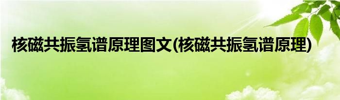 核磁共振氢谱原理图文(核磁共振氢谱原理)