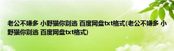 老公不嫌多 小野猫你别逃 百度网盘txt格式(老公不嫌多 小野猫你别逃 百度网盘txt格式)