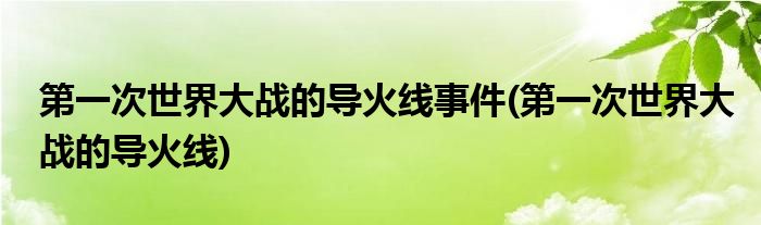 第一次世界大战的导火线事件(第一次世界大战的导火线)