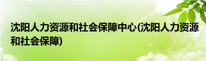 沈阳人力资源和社会保障中心(沈阳人力资源和社会保障)