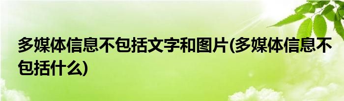 多媒体信息不包括文字和图片(多媒体信息不包括什么)