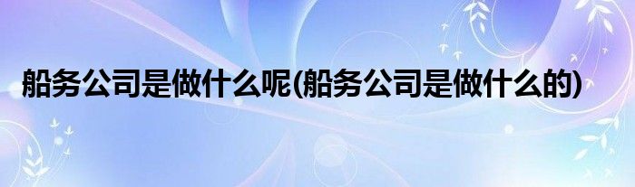 船务公司是做什么呢(船务公司是做什么的)