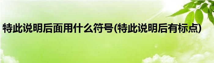 特此说明后面用什么符号(特此说明后有标点)