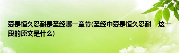 爱是恒久忍耐是圣经哪一章节(圣经中爱是恒久忍耐    这一段的原文是什么)