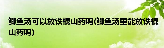 鲫鱼汤可以放铁棍山药吗(鲫鱼汤里能放铁棍山药吗)