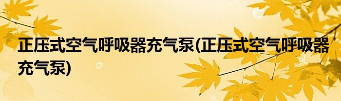 正压式空气呼吸器充气泵(正压式空气呼吸器充气泵)