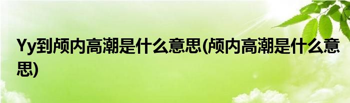 Yy到颅内高潮是什么意思(颅内高潮是什么意思)