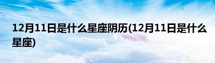 12月11日是什么星座阴历(12月11日是什么星座)