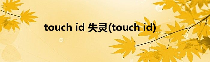 touch id 失灵(touch id)